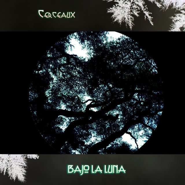 Bajo La Luna