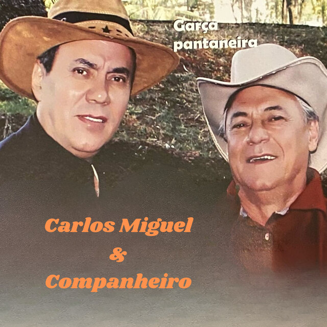 Garça Pantaneira