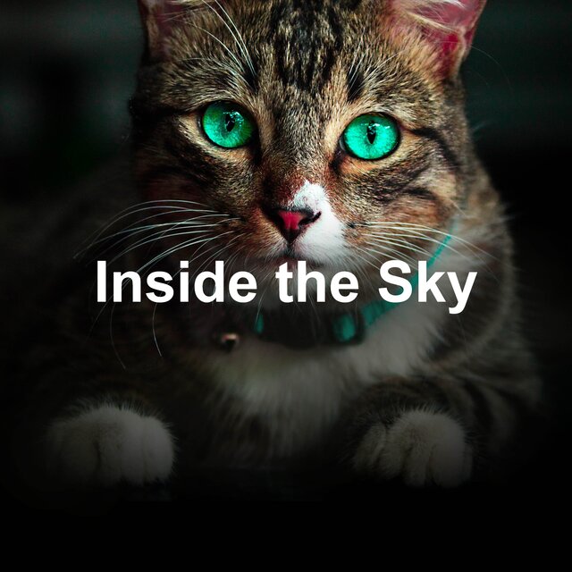 Inside the Sky