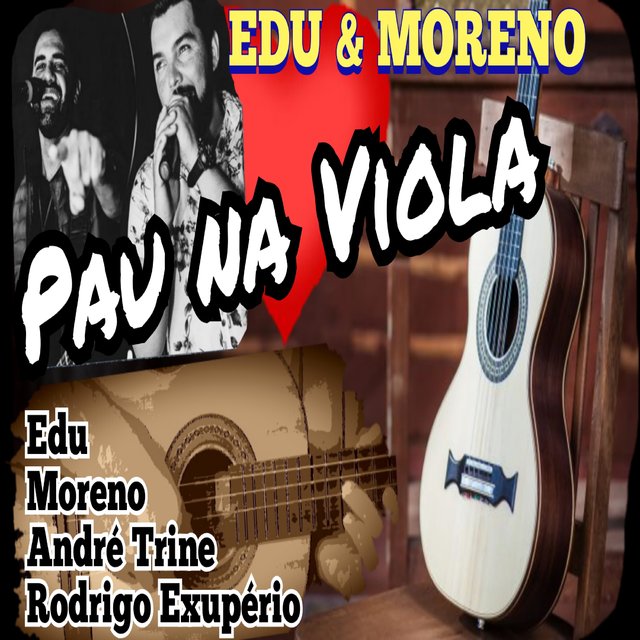 Pau na Viola