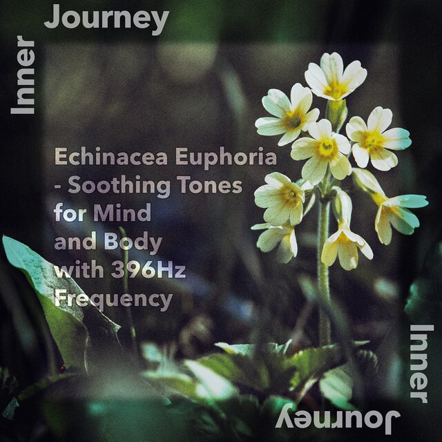 Echinacea Euphoria - Soothing Tones for Mind and Body with 396Hz Frequency