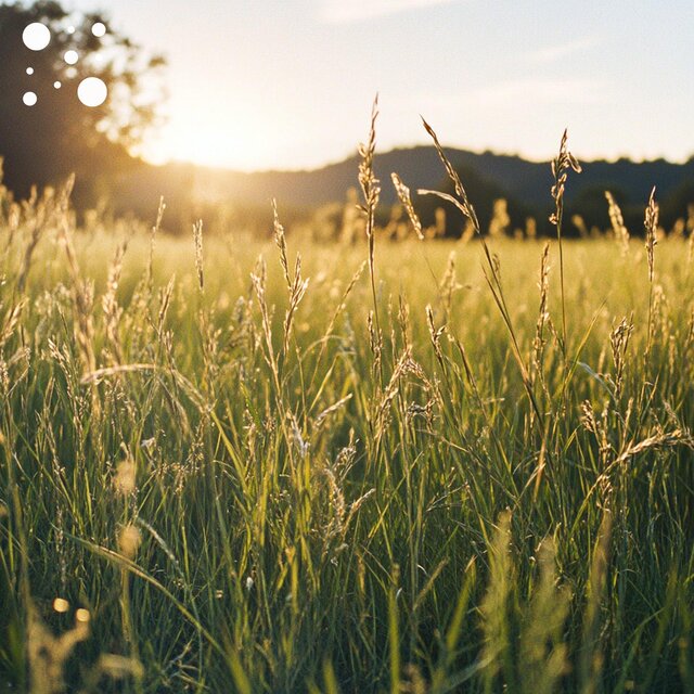 Sunlit Meadow Breeze