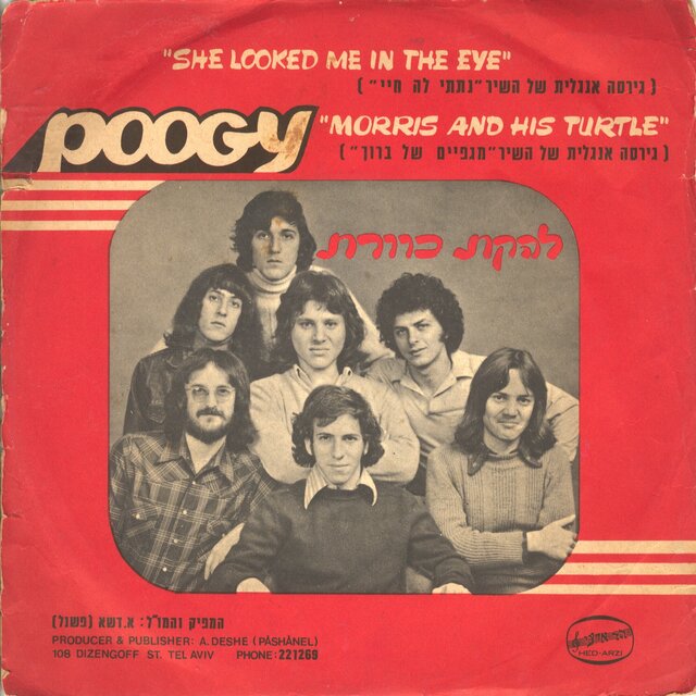 Poogy
