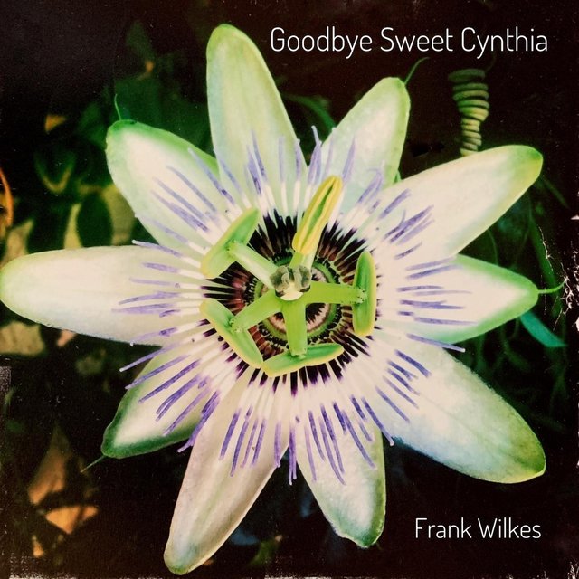 Goodbye Sweet Cynthia