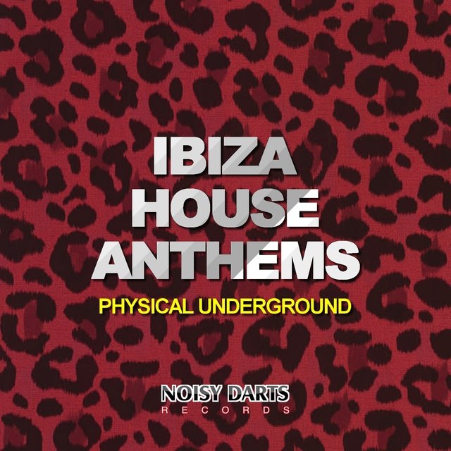 Ibiza House Anthems (Physical Underground)