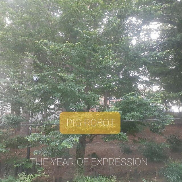 The Year of Expression