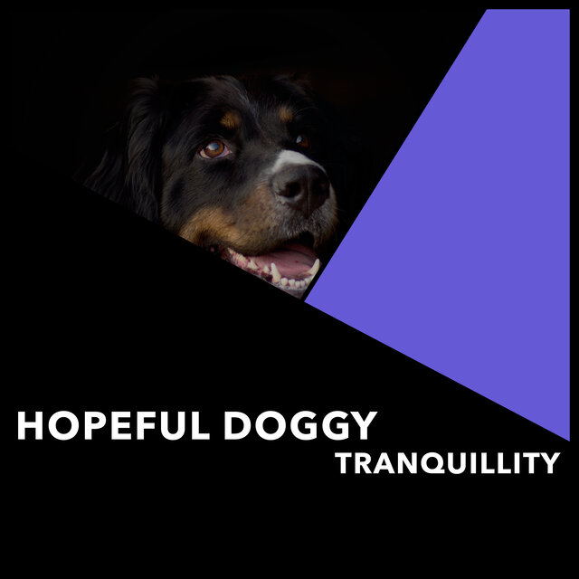 Hopeful Doggy Tranquillity