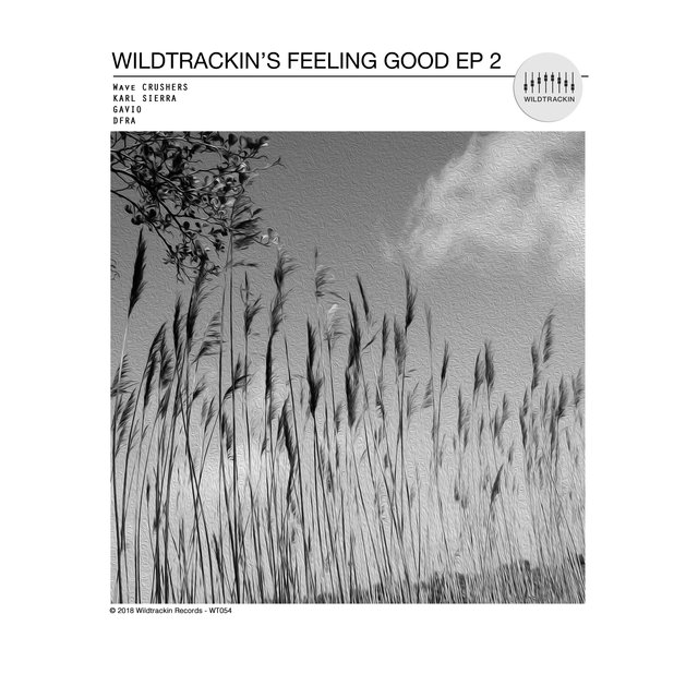 Wildtrackin's Feeling Good 2