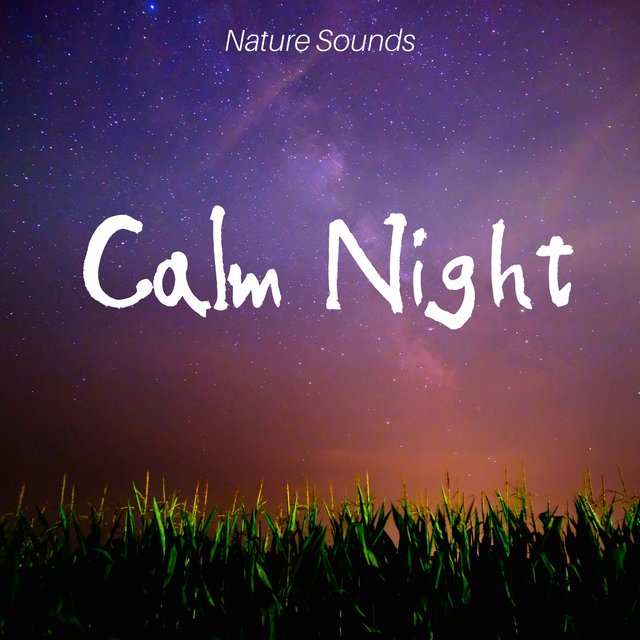Calm Night: Nature Sounds, Lucid Dream, Inner Silence, Ambient Serenity, Long Dream, Total Rest