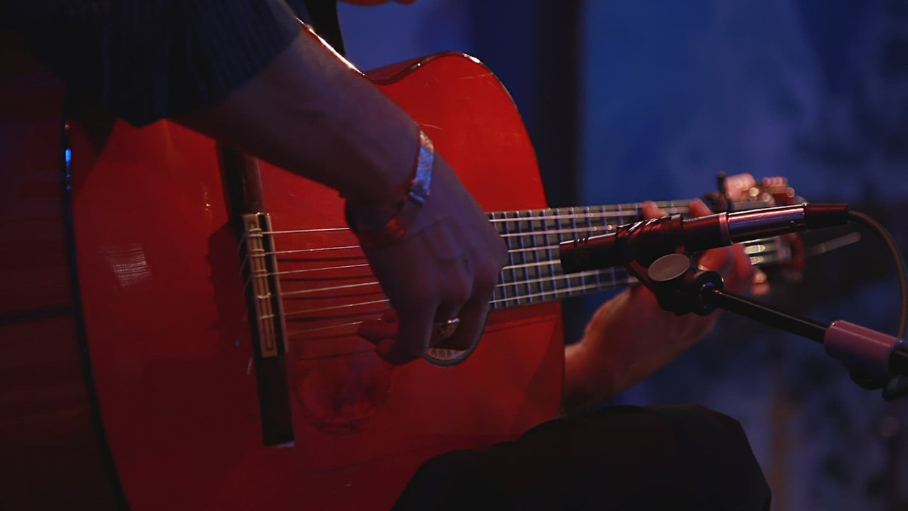 La jota gitana