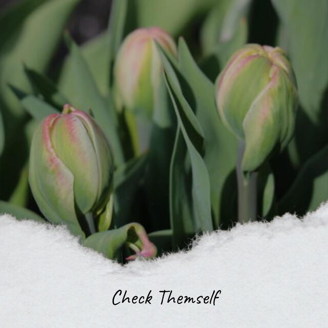 Check Themself