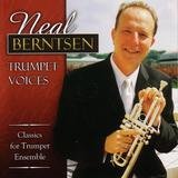 Fanfares For Trumpet And Computer: VII. Someone Is Following You