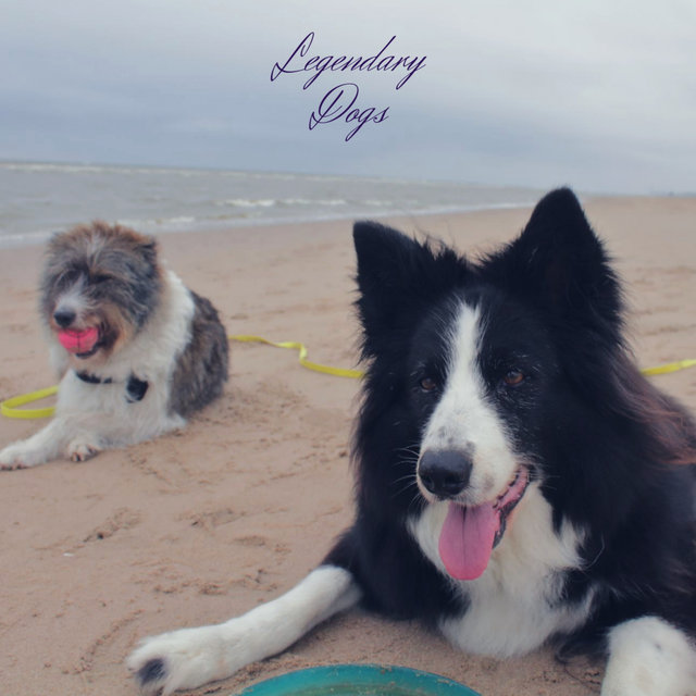 Legendary Dogs