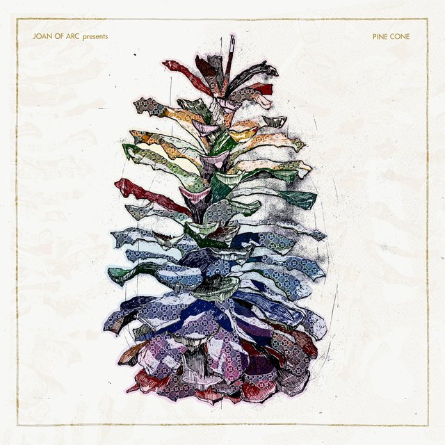 Pine Cone
