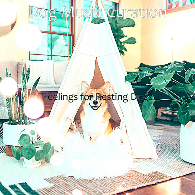 Feelings for Resting Dogs