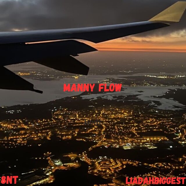 Manny Flow (feat. LiaDahBiggest)
