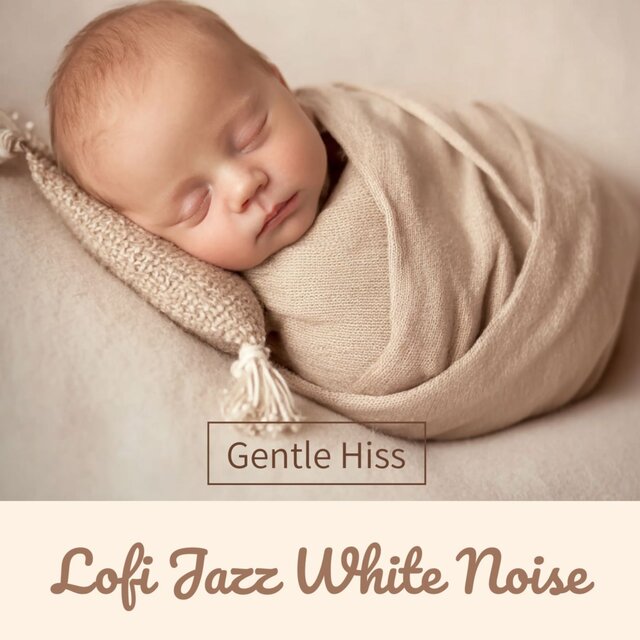 Gentle Hiss Lofi Jazz White Noise