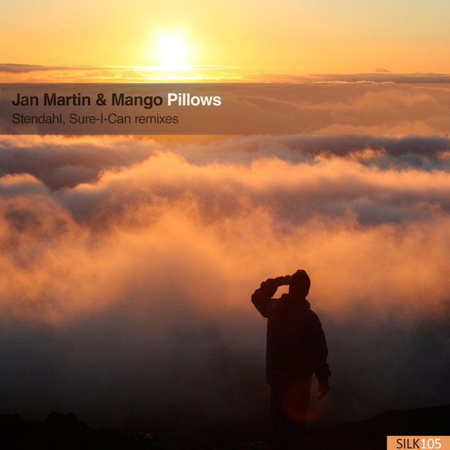Pillows (Remixes)