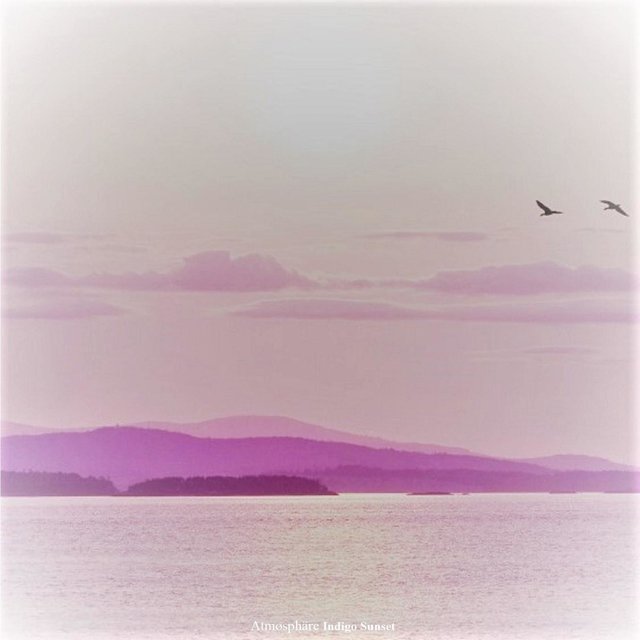 Indigo Sunset