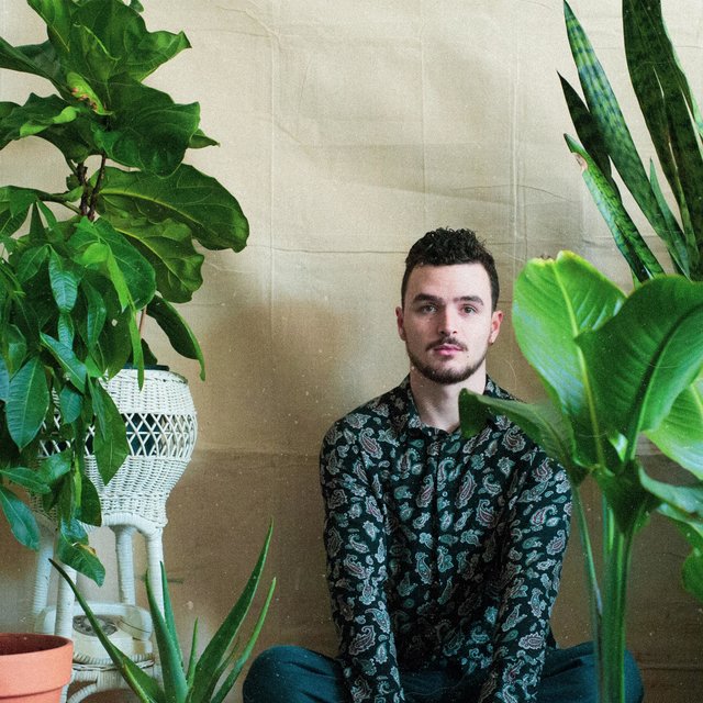 Talking to the Plants