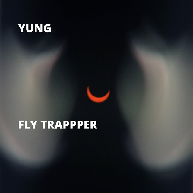 Fly Trappper