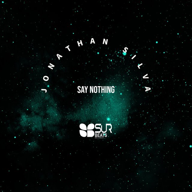Say Nothing