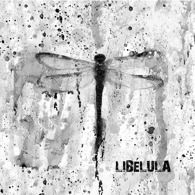 Libélula