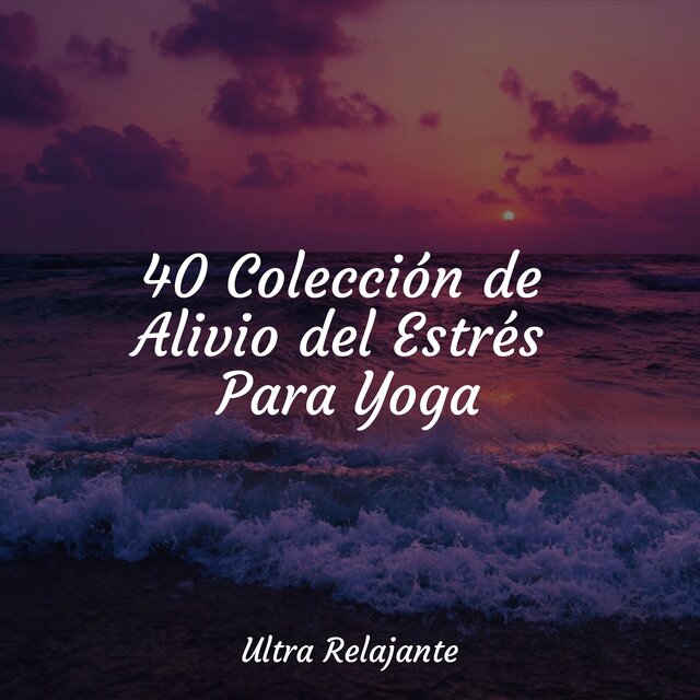 40 Colección de Alivio del Estrés Para Yoga