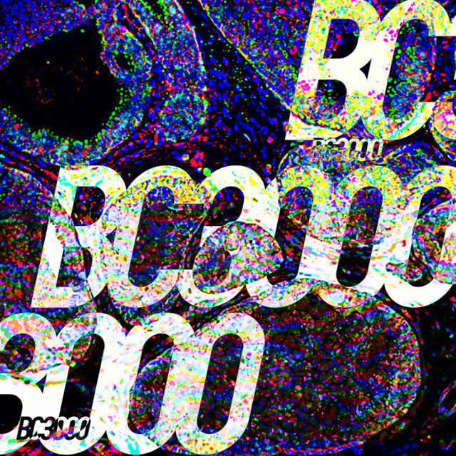 B.C. 3000