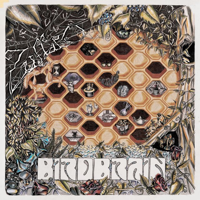 Birdbrain