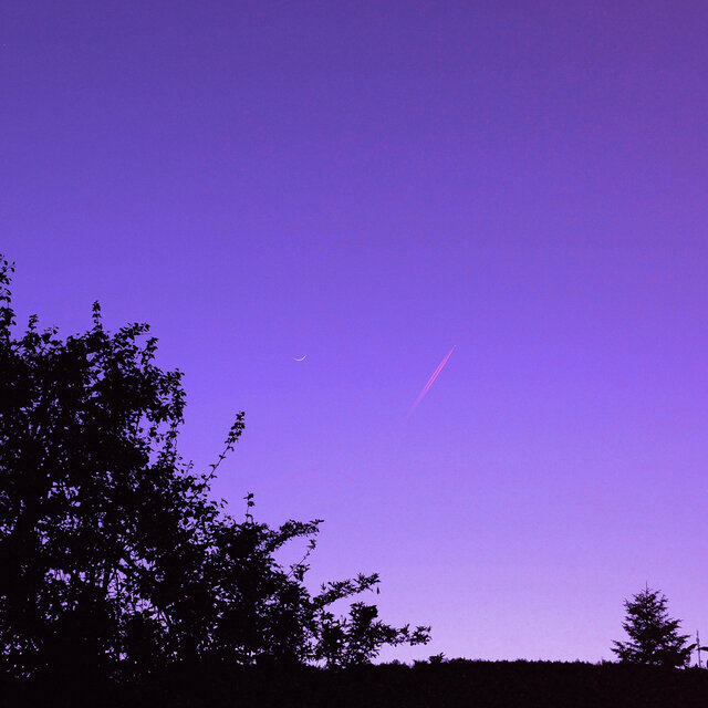 Purple Sundown