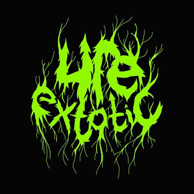 life xtatic