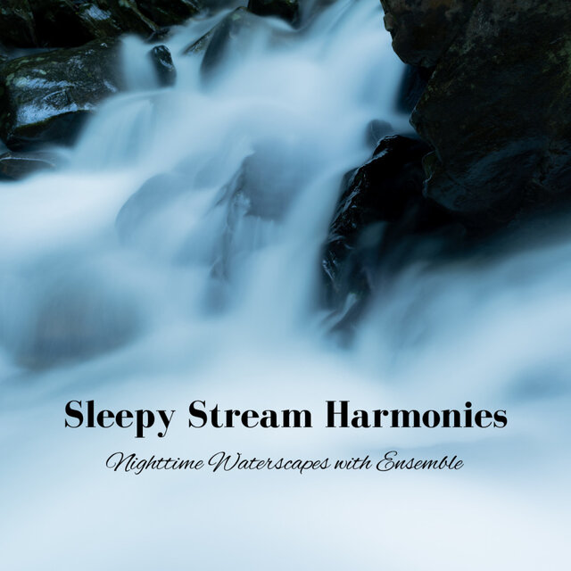 Sleepy Stream Harmonies: Nighttime Waterscapes with Ensemble