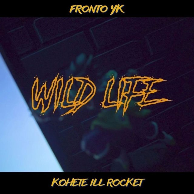 WILD LIFE (con fronto yk)