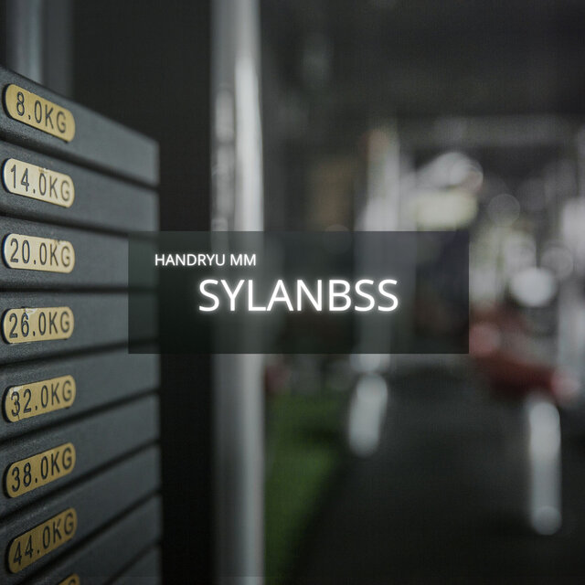 SYLANBSS