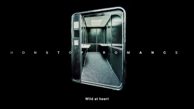 Wild At Heart (Lyric Video)