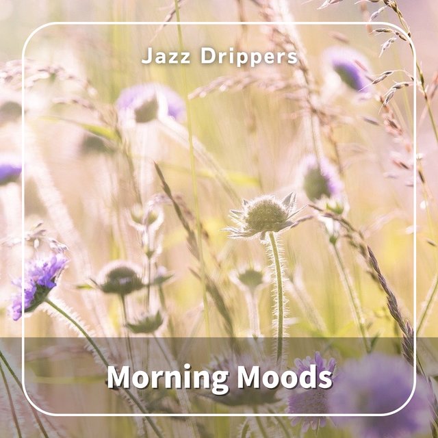 Morning Moods