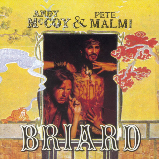 Briard Revisited