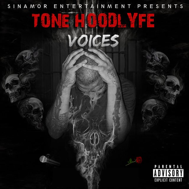 Voice's