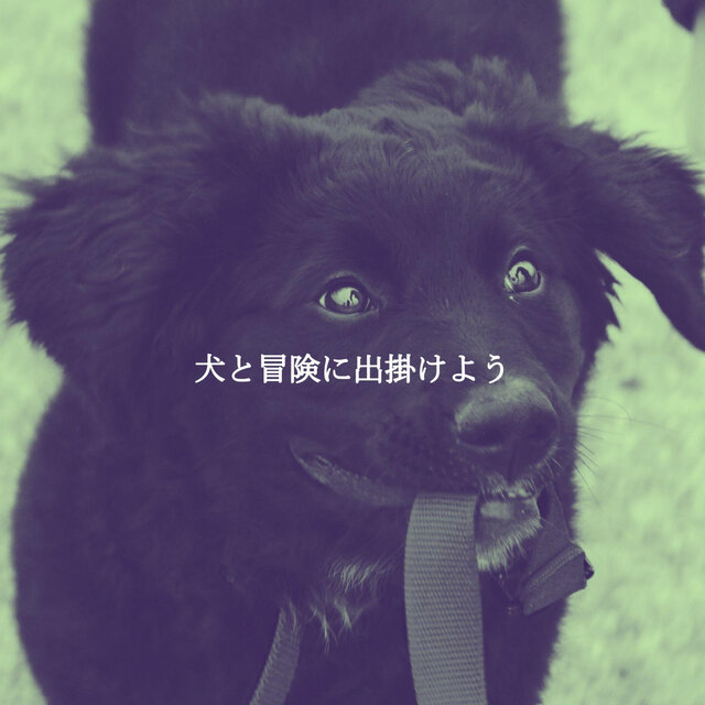 犬と冒険に出掛けよう