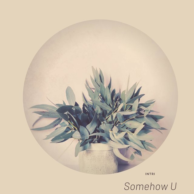 Somehow U