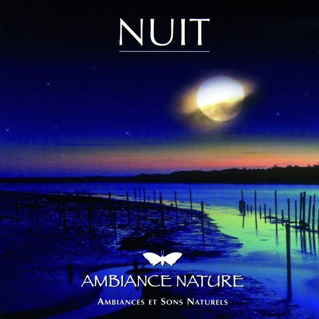 Ambiance Nature Nuit