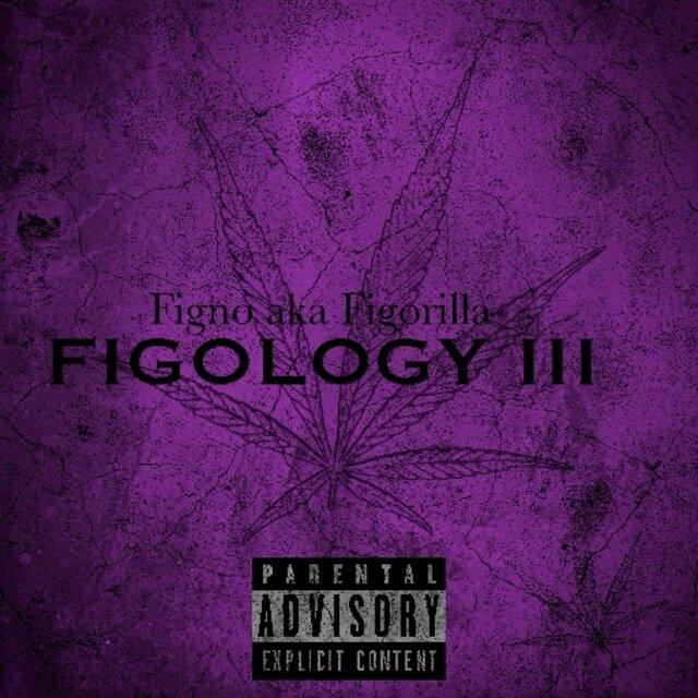 FIGOLOGY III