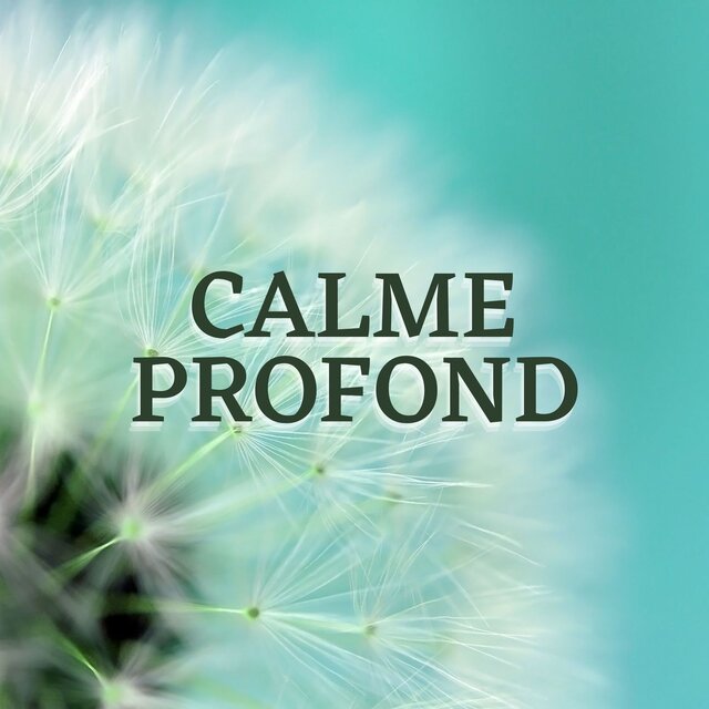 Calme Profond: Musique Apaisante pour Méditation, Yoga et Spa Édition 2023