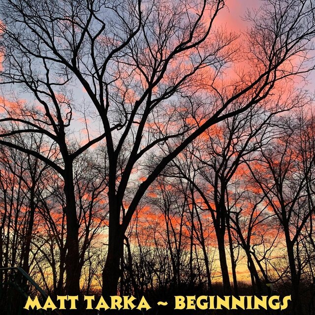 Beginnings