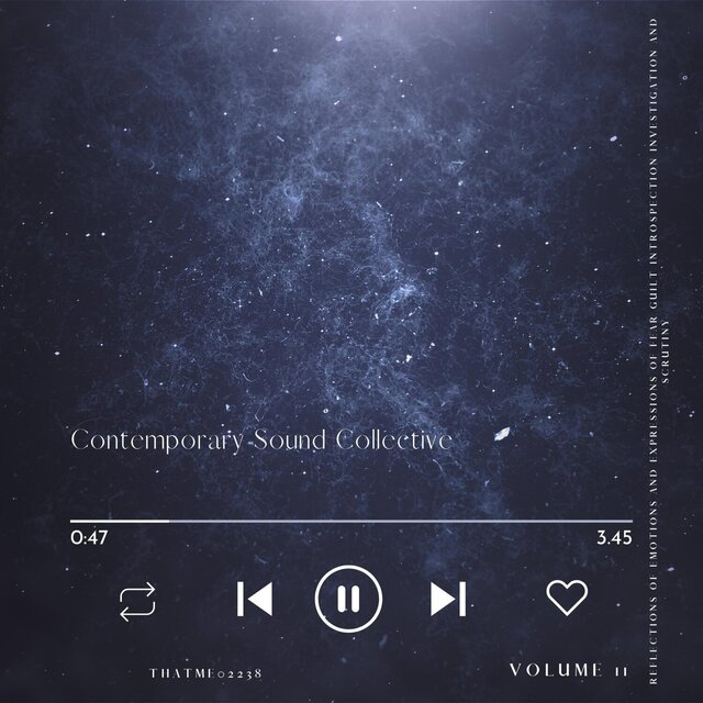Contemporary Sound Collective - Reflections of Emotions and Expressions of Fear Guilt Introspection Investigation and Scrutiny, Vol. 11