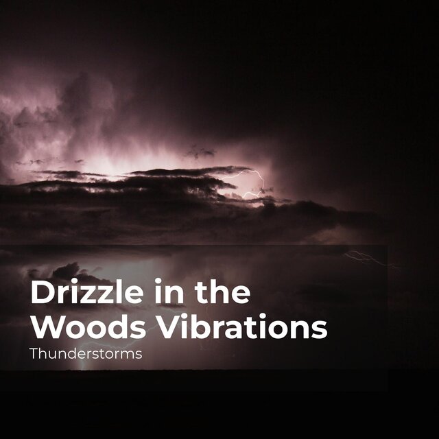 Drizzle in the Woods Vibrations