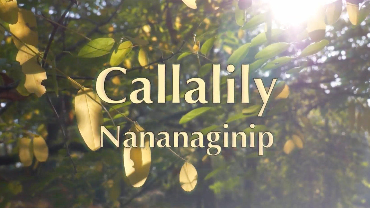 Nananaginip