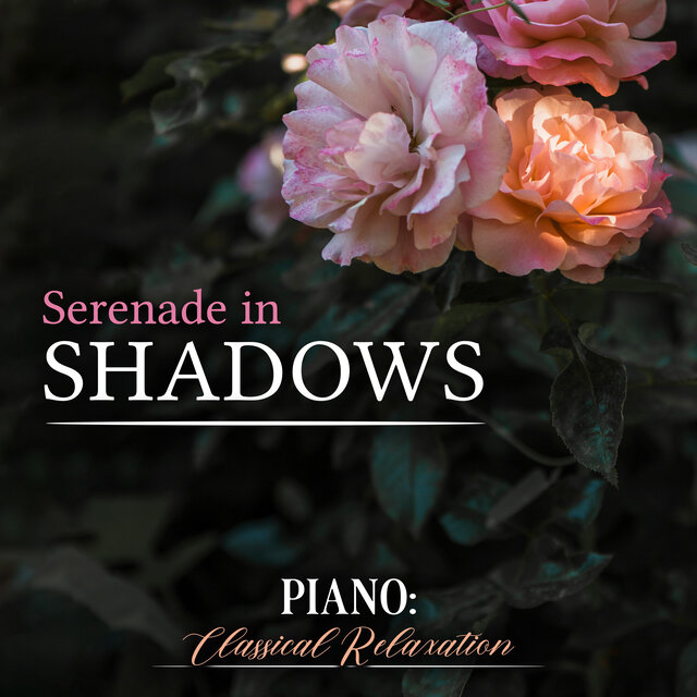 Serenade in Shadows