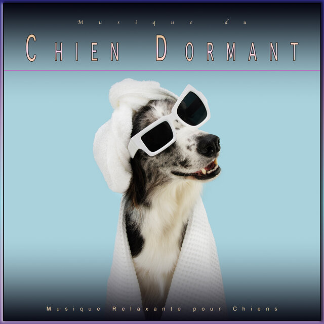 Musique du Chien Dormant: Musique Relaxante pour Chiens